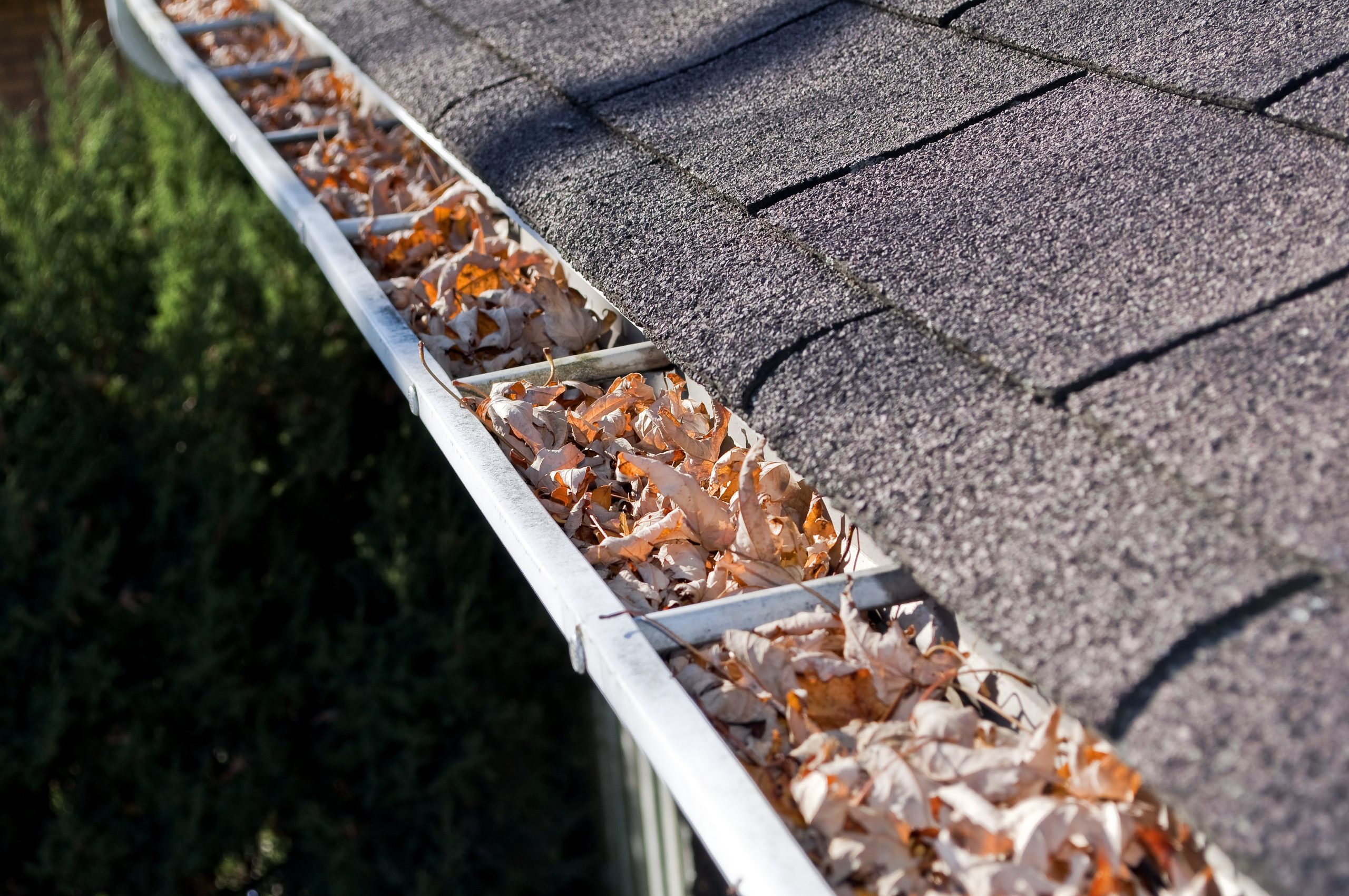 3 Ways To Reduce Gutter Noise
