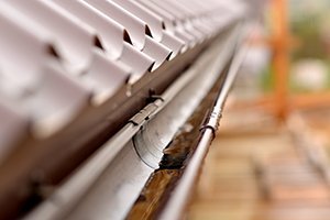Spring Cleaning Tips for Maintaining Your Gutters  