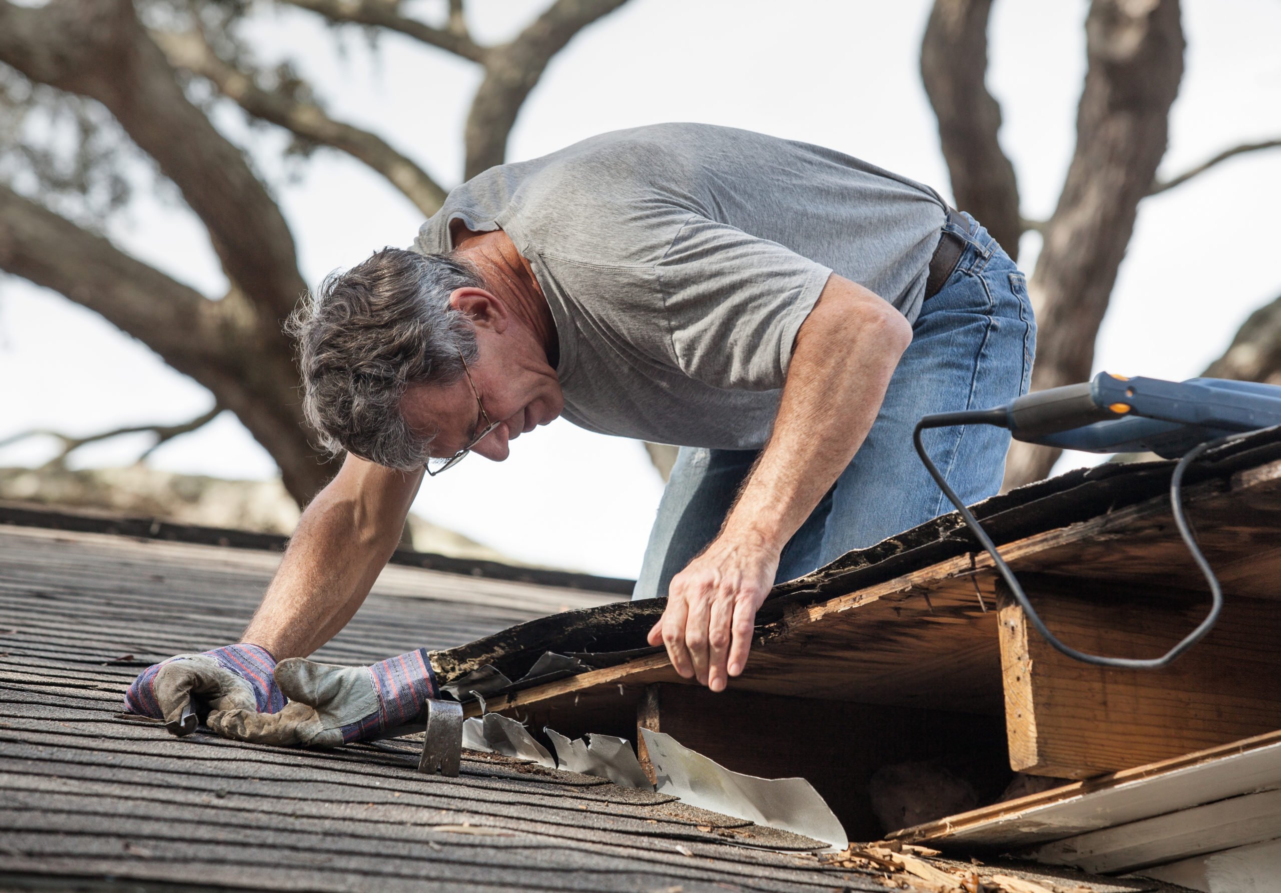 Roof Maintenance: What You Should Know  
