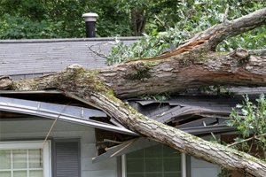5 Things You Should Know Before Making a Roof Insurance Claim